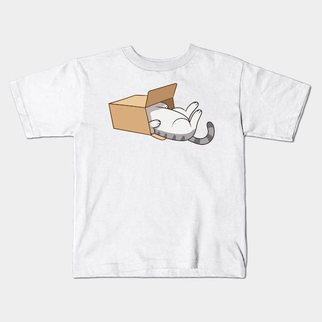 Cat in the box Kids T-Shirt by tomodaging